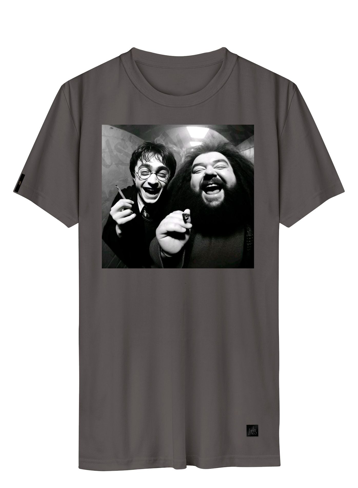Camiseta Harry Potter & Hagrid