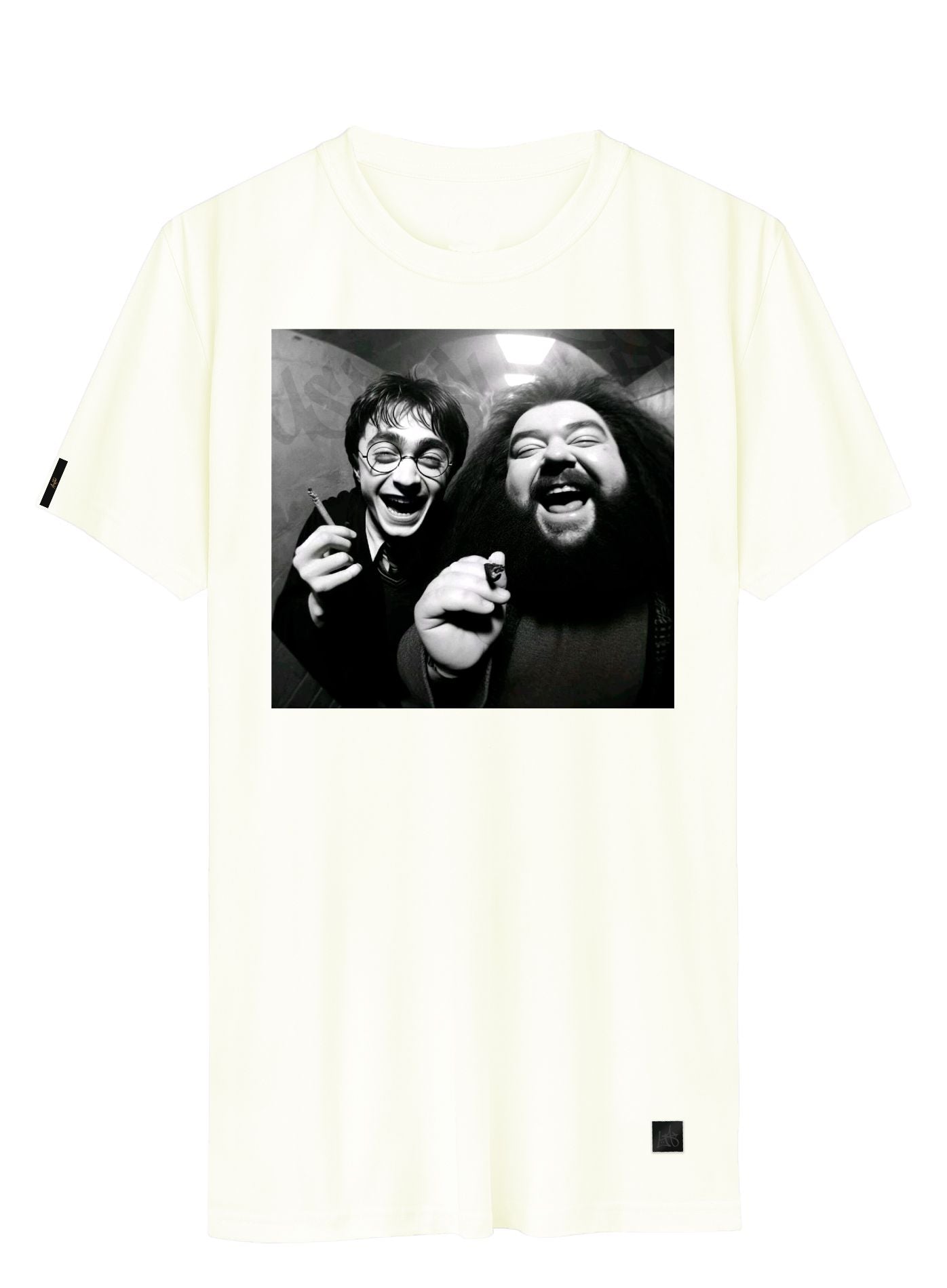 Camiseta Harry Potter & Hagrid